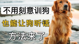 不用训狗，也能让狗狗听话的方法，来了