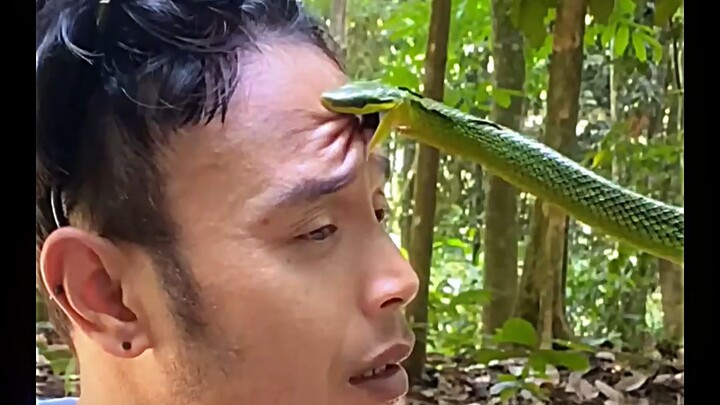 ถูกงูตัวนี้กัดจะตายไหม?