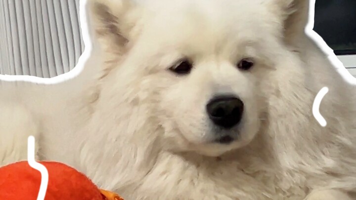 Hóa ra cô ấy đã có người khác bên ngoài rồi…