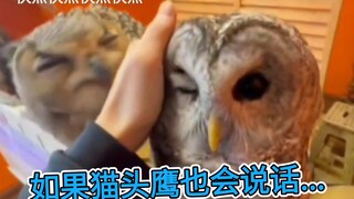 绿茶vs傲娇③