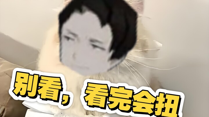 《当伪人小说遇到月计》