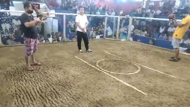 hinnie last fight💪