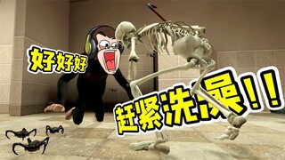 狒狒历险记：身体被掏空，就剩骨架，我该怎么办？
