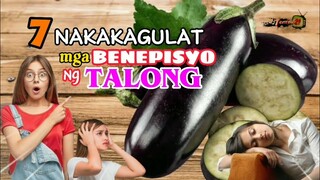 NAKAKAGULAT NA MGA BENEPISYO SA KALUSUGAN NG PAGKAIN NG TALONG | HEALTH BENEFITS OF EGGPLANT