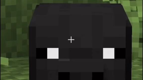 Pigga