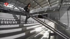 最强大脑：中国vs X战队