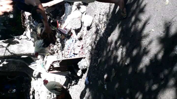 camiguin island JFCV