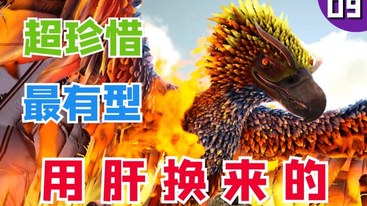 Phượng Hoàng: Người trẻ ơi, tôi khuyên bạn hãy cho Chuột ăn nước ép, đừng lén tấn công!