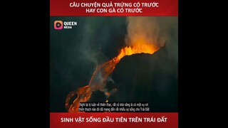 câu chuyện quả trứng có trước hay còn gà có trước, sinh vật sống đầu tiên trên trái đất