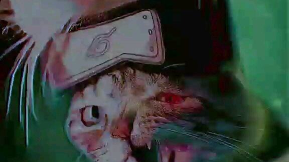 wibuu🐱🐱🐈🐈