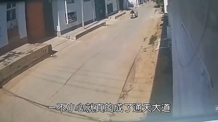 أضحكني لدرجة الموت! هذا طريق يؤدي إلى الجنة، هههه.