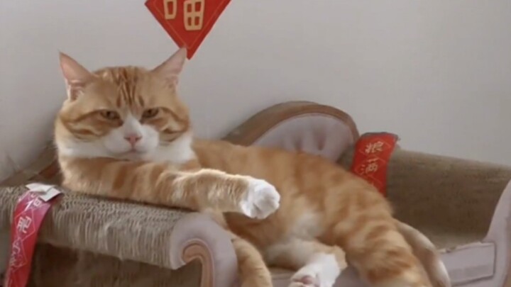 “Giới Miêu, trên người chắc chắn đã mang không ít mạng người!”