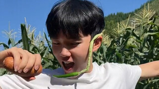 创意小舞蹈