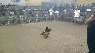 naka Isa ulet sa Lopez Quezon province