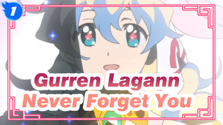 [Gurren Lagann] I'll Never Forget You even the Universe Ruin_1
