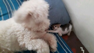 tobias Godiel and Puma