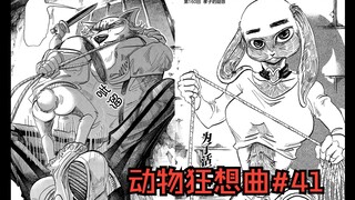 雷格西碰上了一只新兔子！捆绑时还把对方裤子给扒了！？【BEASTARS/动物狂想曲#41】