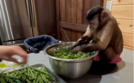 After that, pick up the child.