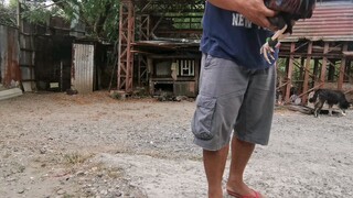 sparring May 19 2023 - fight