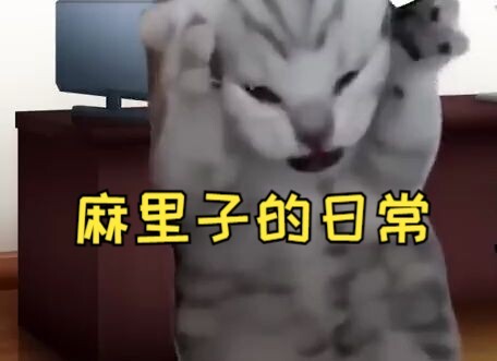 [Subtitled] A guest claiming to be a master broke Mariko's armor | Cat meme