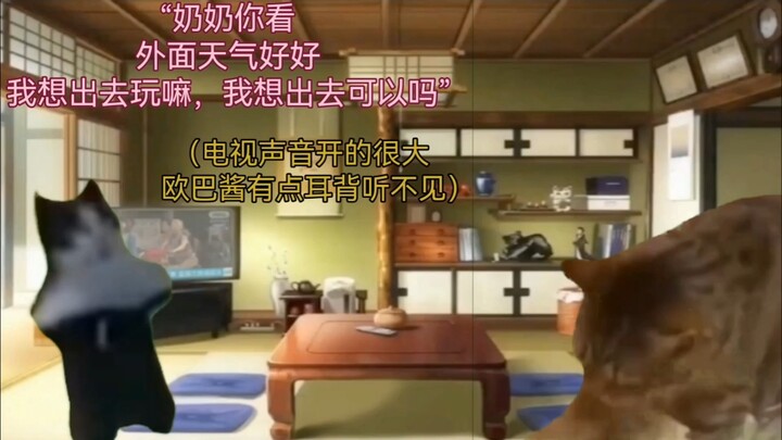 【Cat meme】The incident in Japan where the exhibitionist Chimp's hair was accidentally pulled off