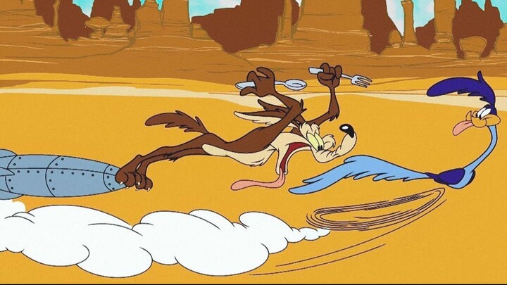 Roadrunner and the coyote - classic cartoons