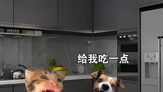 One door, two supreme