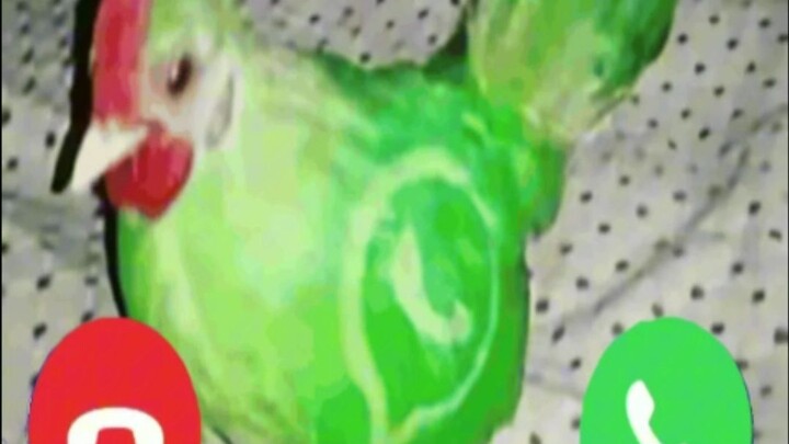 ตำนานตาบอดสี