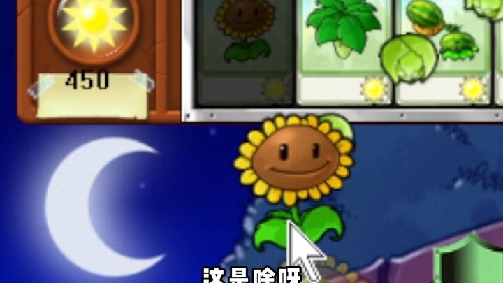 Dây chuyền vận chuyển tặng tôi hoa hướng dương!?