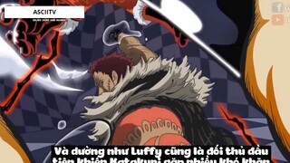 Top 8 Trái Ác Quỷ Đã _Thức Tỉnh_ Trong One Piece #20 9