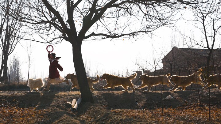 Top students' excellence is all the same, while underachievers' struggles are uniquely bizarre.