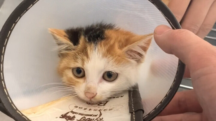 Prequel to Xiao 300: Taking down Black Whirlwind leaves you feeling a bit… dark.