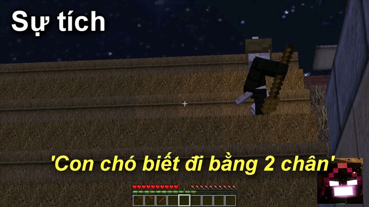 Minecraft Ông Nội Kể Chuyện 22 Sự Tích Con Chó Đi bằng 2 chân