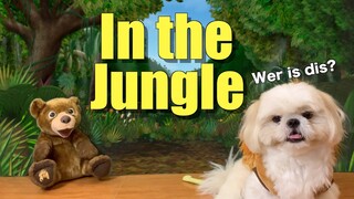 Borgy Goes To The Jungle | Cute & Funny Shih Tzu Dog Video