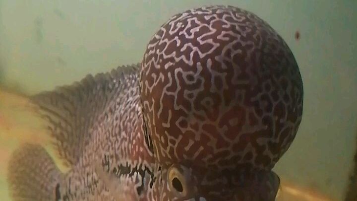 OK hbuw17Na 2Q2Q2Qq992a