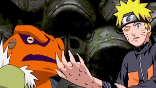 Kakashi's hobby has made a big contribution