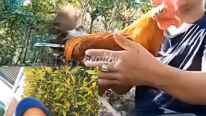 2xw a day 3xw in one week