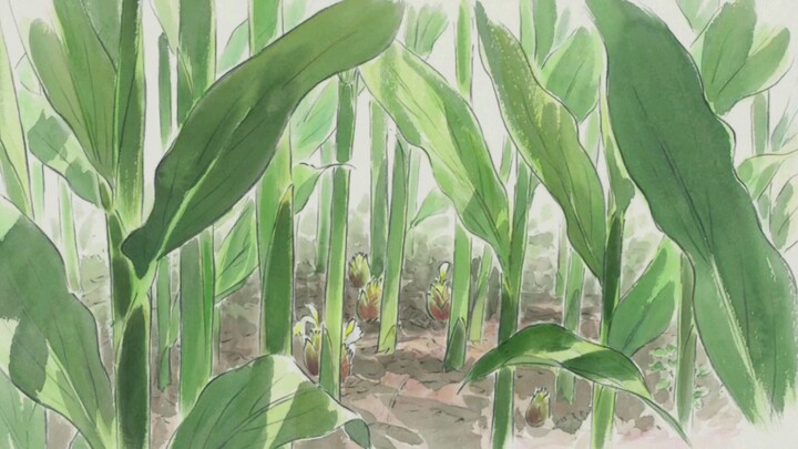 grass???