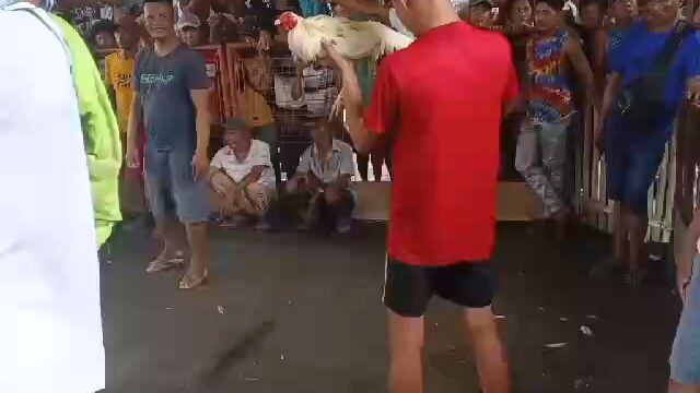 "brgy. tari-tari with my uncle redshirt"