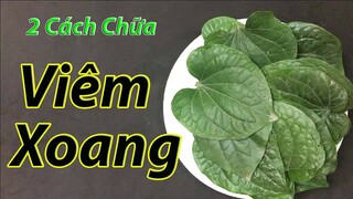 2 cách chữa viêm xoang tại nhà đơn giản và hiệu quả cao chỉ với 1 nắm lá lốt ( mẹo chữa bệnh )