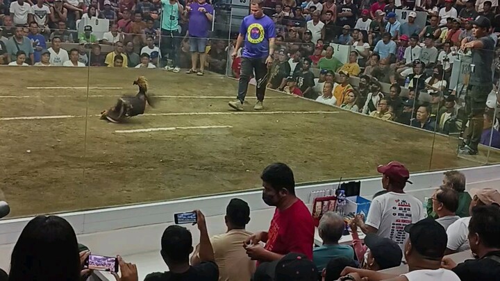 Rowell Amano..Nov 4 2025