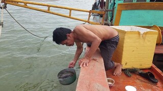 Theo cha đi cào kiếm ''Mồi Bén'' nấu ăn bữa cơm trên ghe | Ngư Dân Miền Tây
