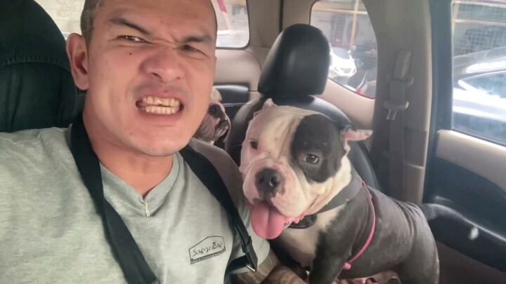 ชุลมุนวุ่นรัก รอแม่ในรถ
