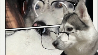 พวกเราหมีซิวไม่เคยเห็นฉากใหญ่แบบนี้มาก่อนเลย