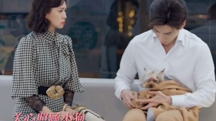 Mom: Son, the way you’re looking at the dog right now is exactly the same as how Dad used to look at