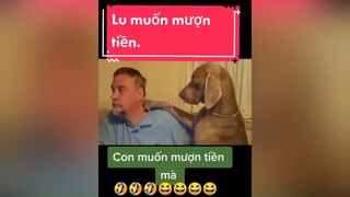 chómèohàihước chócute giảitrí  Lu tâm sự😗😗😗