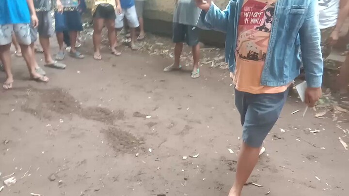 tari tari