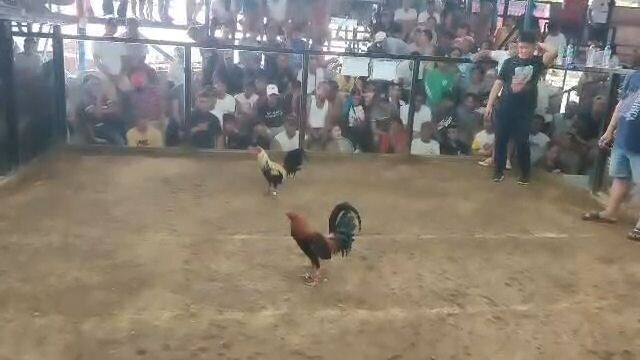 Black Kanawayon Maestro