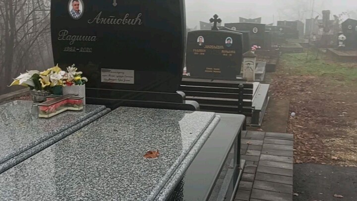 vidio kerja sehari hari