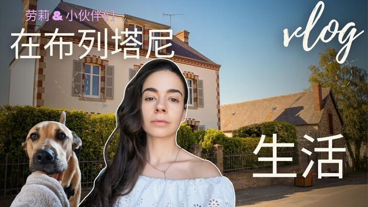 Vlog｜我们家又要添新成员了？！
